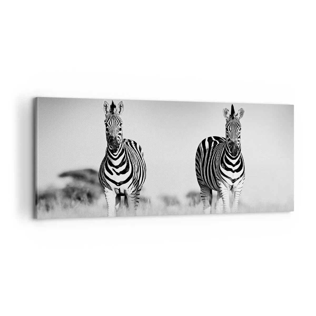 Bild auf Leinwand - Leinwandbild - Die Welt ist doch schwarz-weiß - 100x40 cm