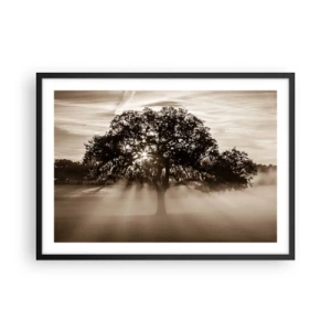 Poster in einem schwarzem Rahmen - Sonnenstrahlen scheinen durch einen einsamen Baum - 70x50cm - Baum der guten Nachrichten  - Moderne Wanddekoration für Wohnzimmer und Schlafzimmer ARTTOR
