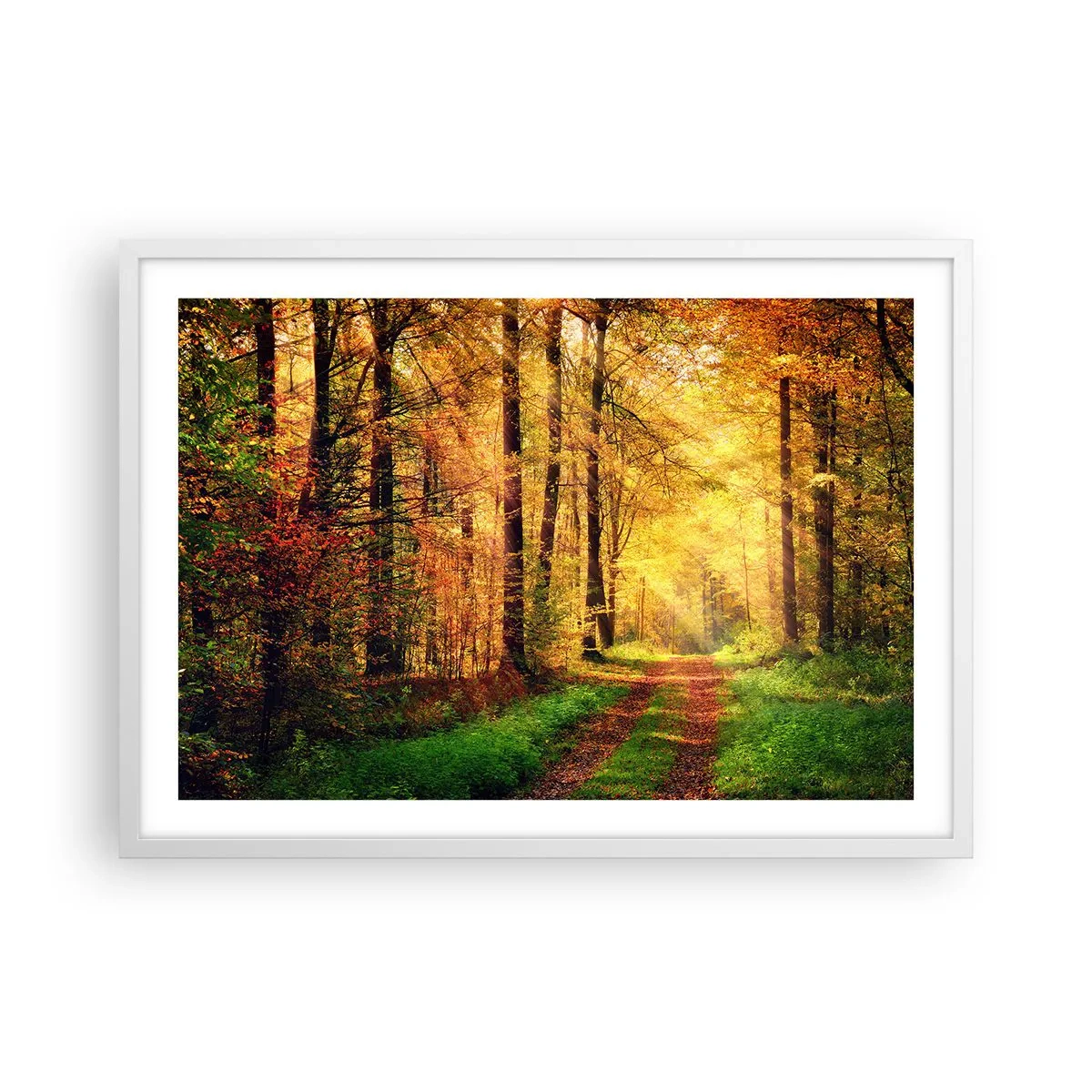 Poster in einem weißen Rahmen - Waldgoldene Stille - 70x50 cm
