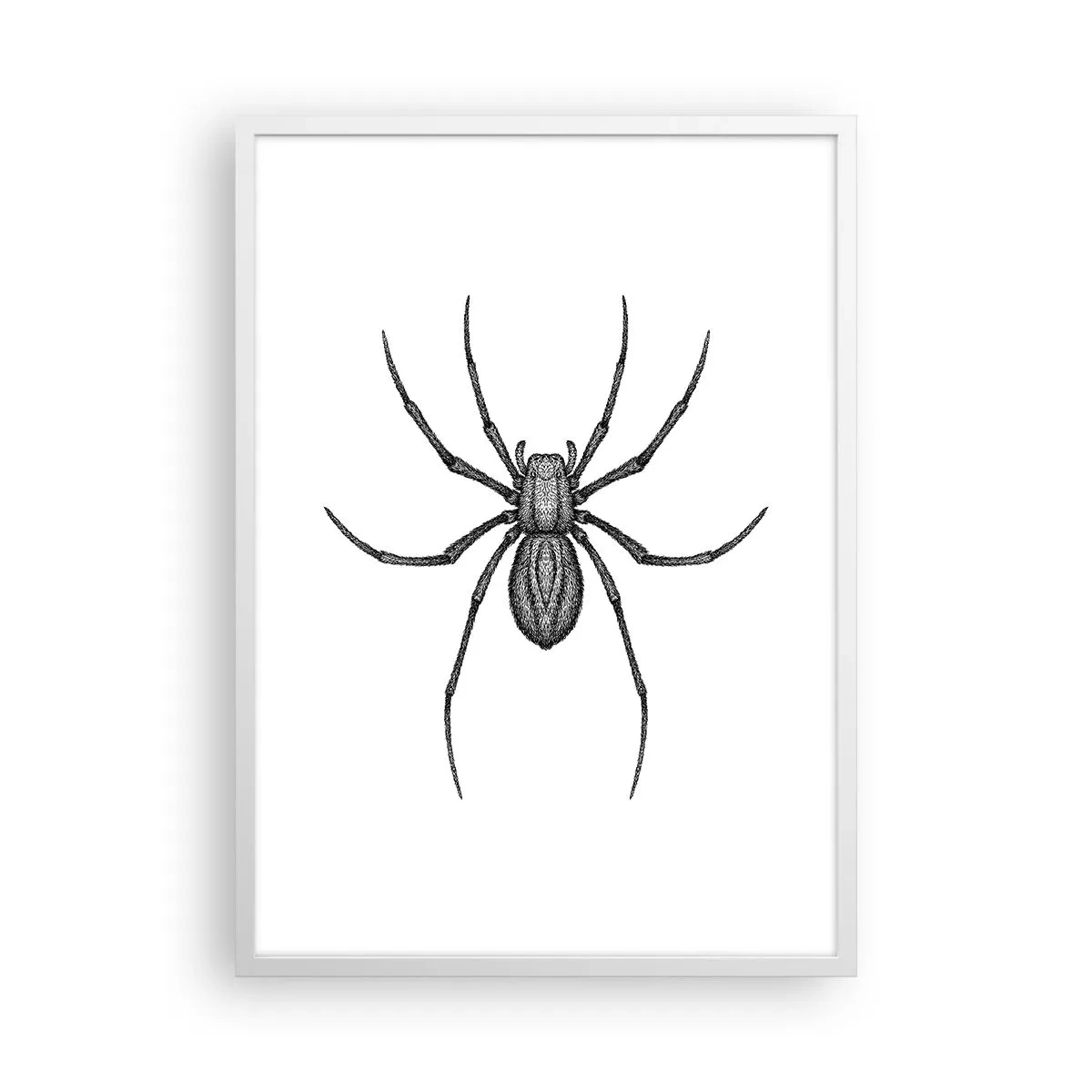 Poster in einem weißen Rahmen - Beunruhigende Präzision - 50x70 cm