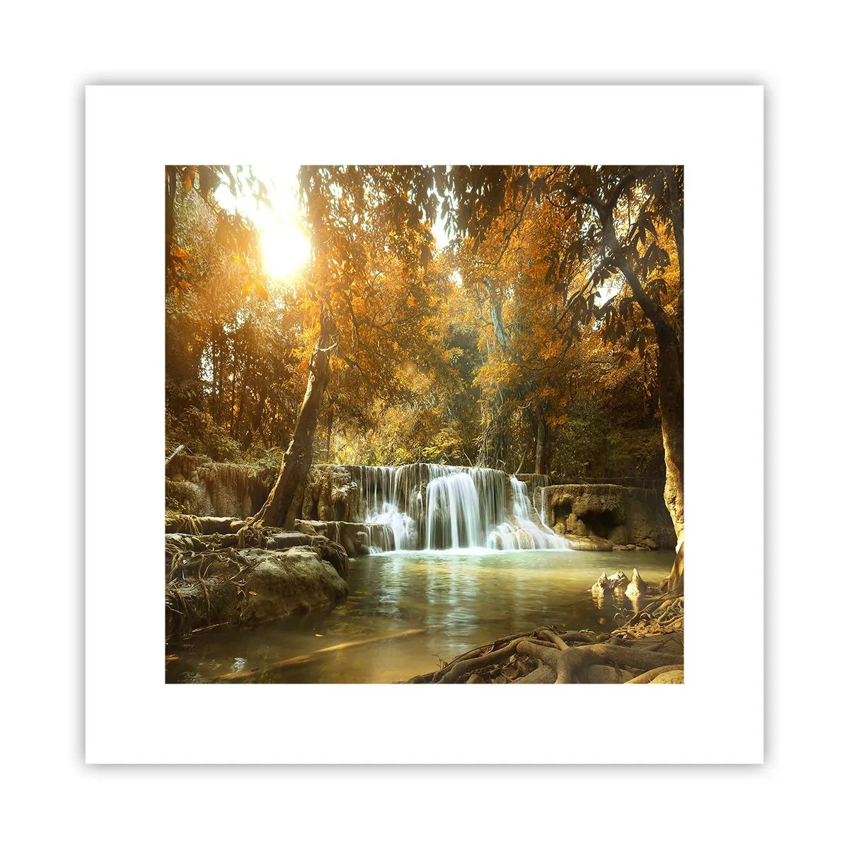 Poster - Parkkaskade - 30x30 cm