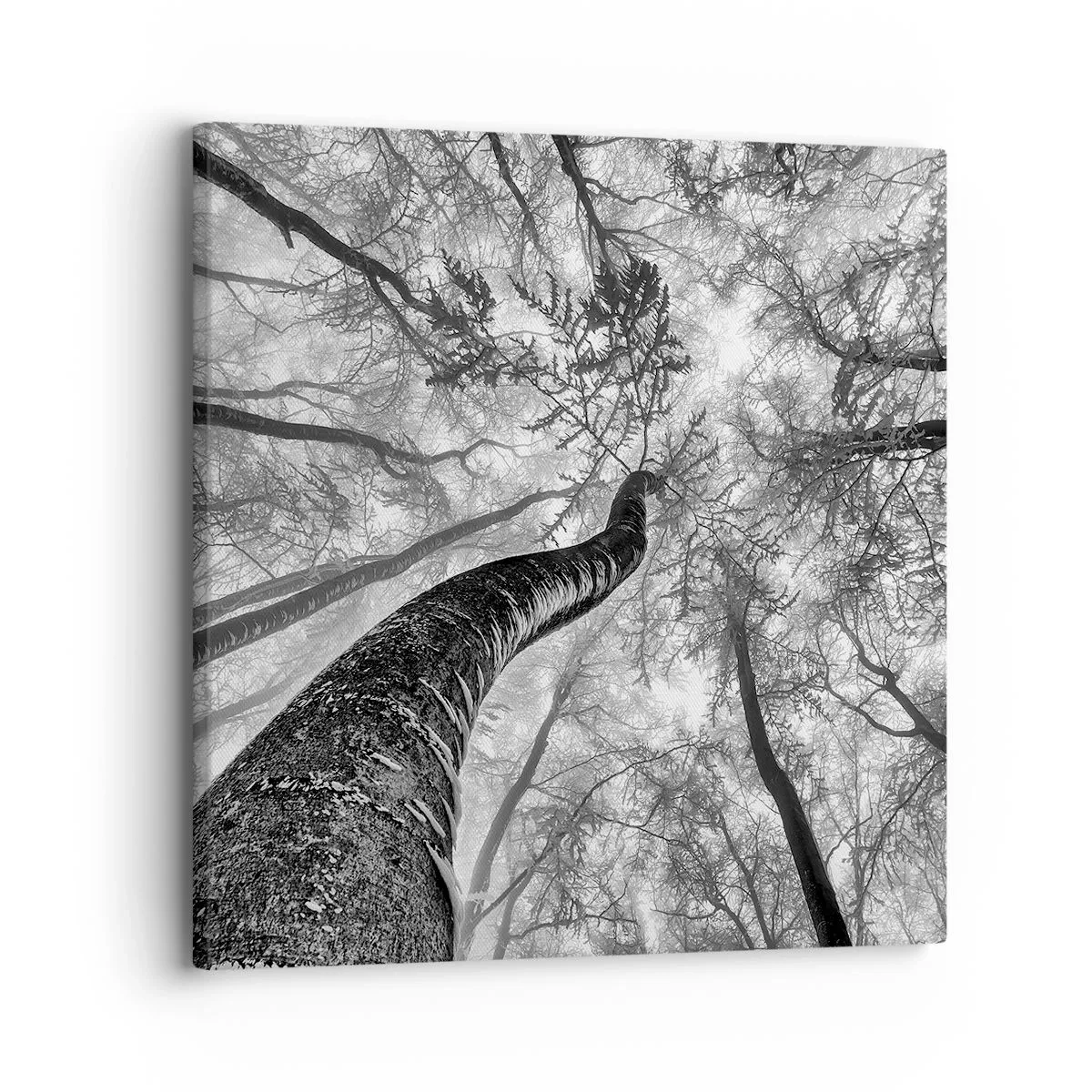 Bild auf Leinwand - Leinwandbild - Rennen zum Licht - 30x30 cm