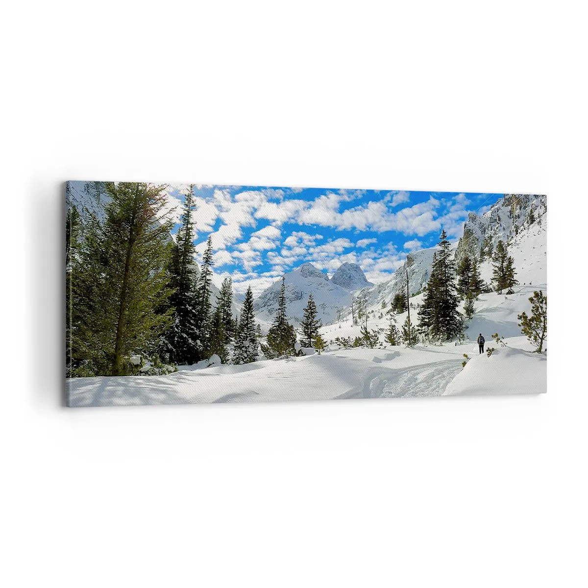 Bild auf Leinwand - Leinwandbild - Im Schnee und in der Sonne - 100x40 cm