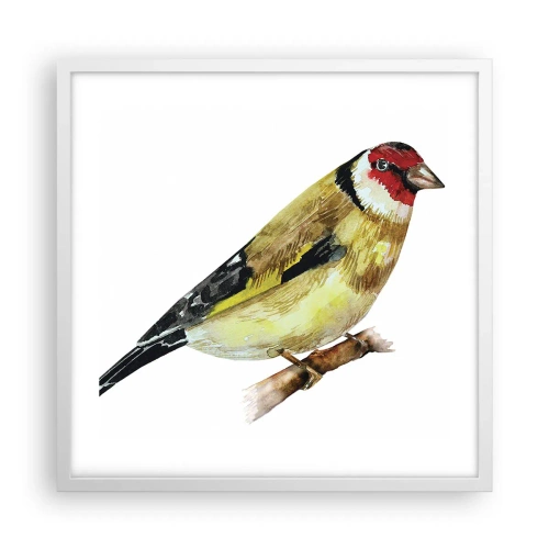 Poster in einem weißen Rahmen - Vogelporträt - 50x50 cm