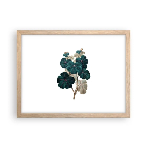 Poster in einem Rahmen aus heller Eiche - Aus dem alten Herbarium - 40x30 cm