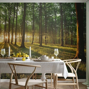 Fototapete Premium Sand - Ein Wald, beleuchtet von den Strahlen der untergehenden Sonne - 100x70cm - Alle Frühlingsfotografie - Moderne Wanddekoration für Wohnzimmer und Schlafzimmer ARTTOR
