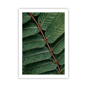 Poster - Blätter mit Wassertropfen bilden eine harmonische Komposition - 50x70cm - Im grünen Rhythmus - Moderne Wanddekoration für Wohnzimmer und Schlafzimmer ARTTOR