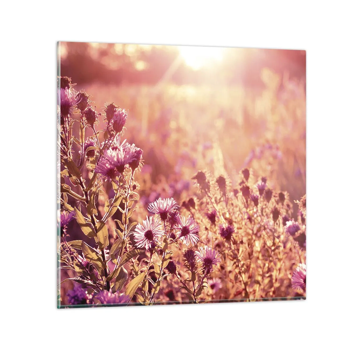 Glasbild - Bild auf glas - Bevor der Sommer vorbei ist - 50x50 cm