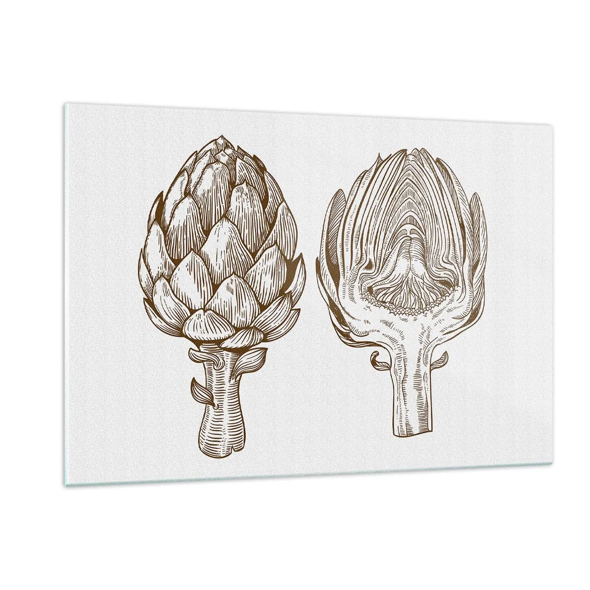 Glasbild - Bild auf glas - Botanische Zeichnung einer Artischocke im Ganzen und im Querschnitt - 120x80cm - Anatomie-Lektion - Moderne Wanddekoration für Wohnzimmer und Schlafzimmer ARTTOR