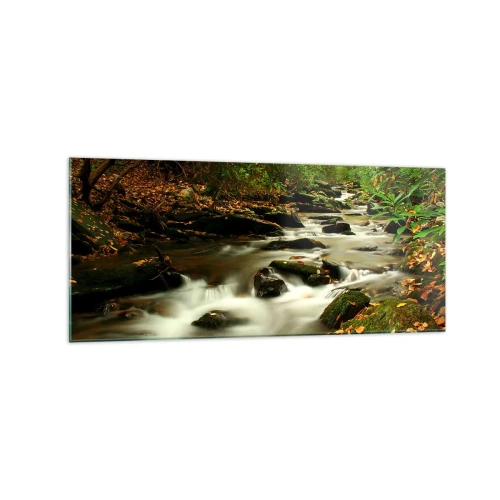 Glasbild - Bild auf glas - Ein Waldbach, der zwischen Steinen fließt, umgeben von Grün - 120x50cm - Wie flüssiges Silber - Moderne Wanddekoration für Wohnzimmer und Schlafzimmer ARTTOR