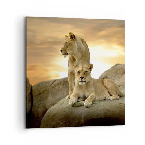 Bild auf Leinwand - Leinwandbild - Königliche Majestät - 50x50 cm