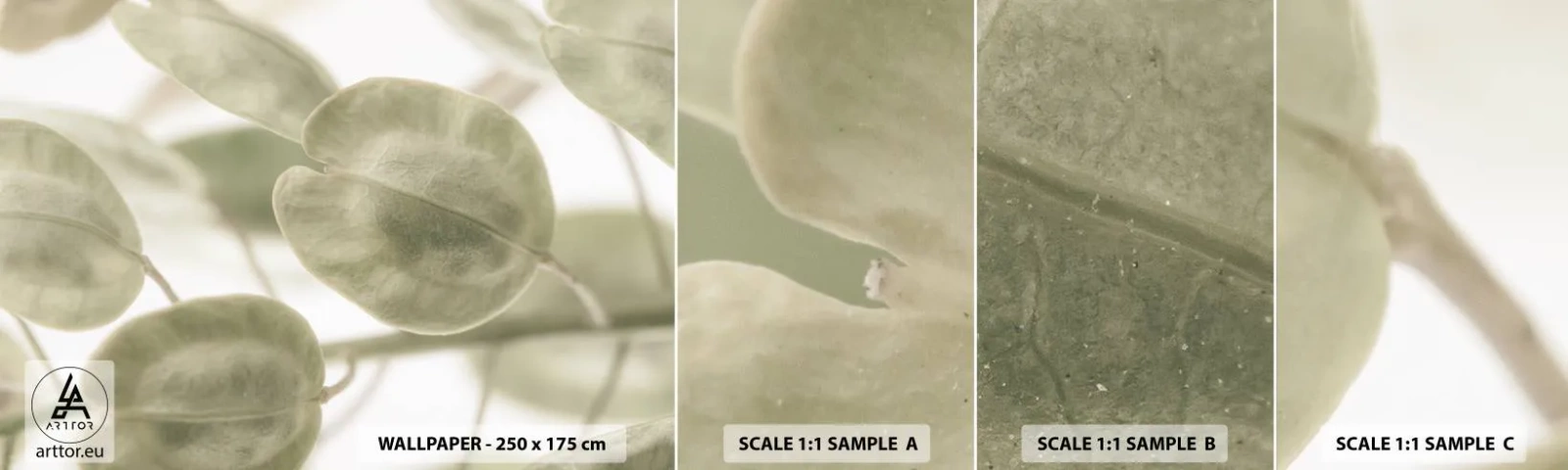 Fototapeten Muster Selbstklebend Deluxe Sticker - Am Anfang waren Blätter... - Blumen, Ruhig, Blätter - 100x30 cm