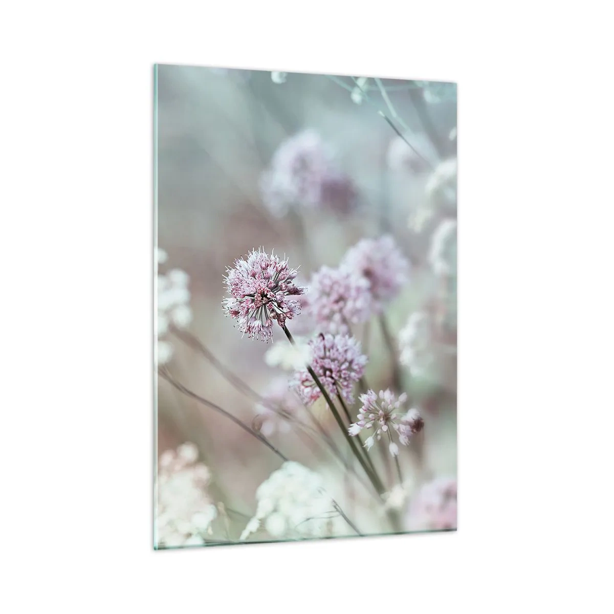 Glasbild - Bild auf glas - Zarte Wildblumen in Pastelltönen - 50x70cm - Süße filigrane Kräuter - Moderne Wanddekoration für Wohnzimmer und Schlafzimmer ARTTOR