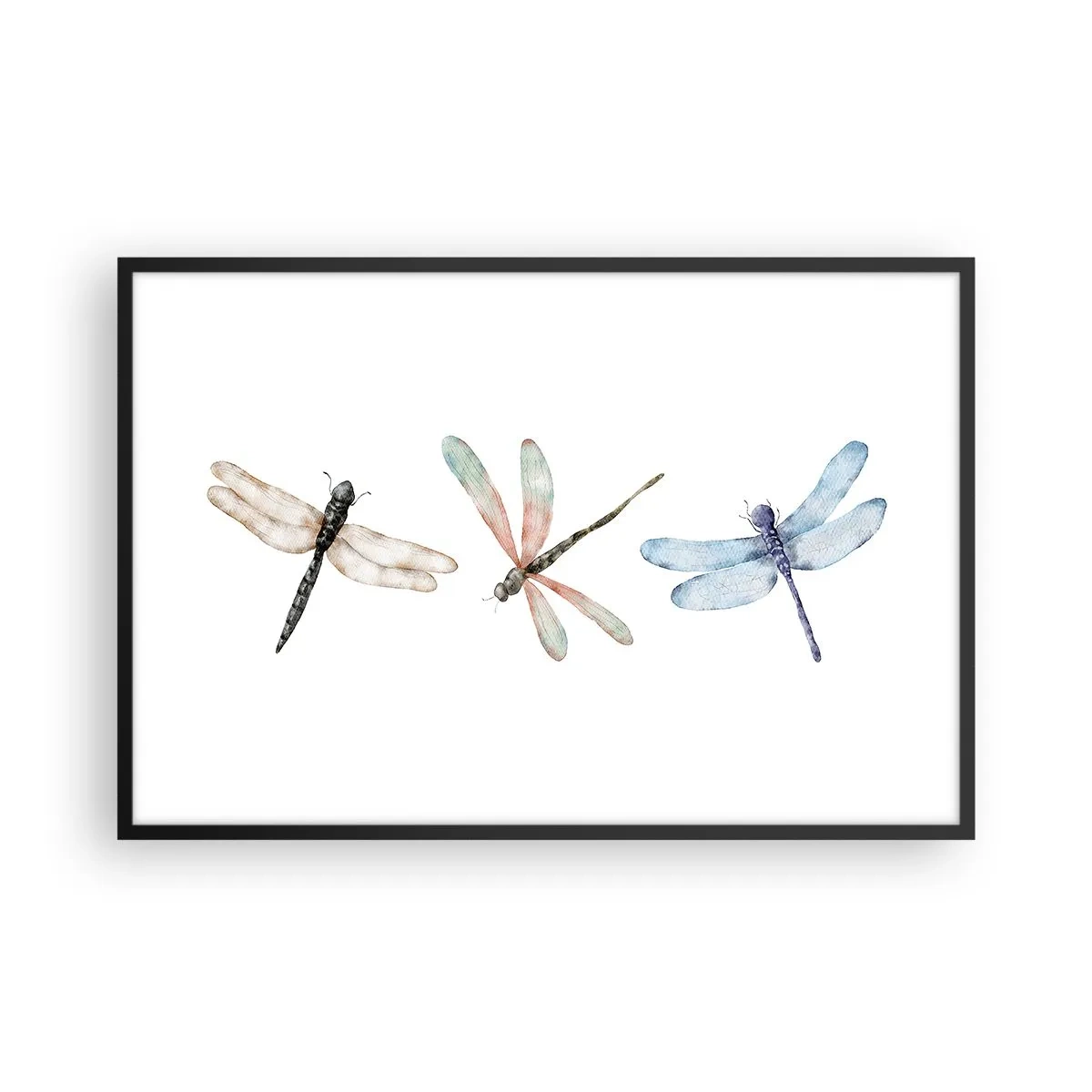 Poster in einem schwarzem Rahmen - Schwerelose Libellen - 91x61 cm