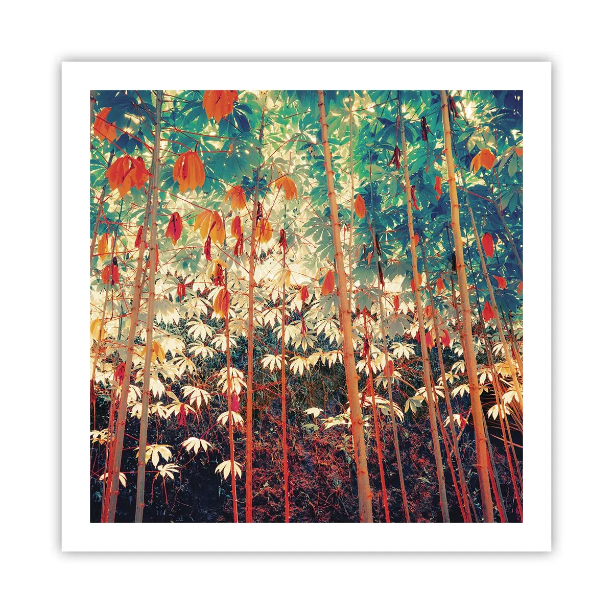 Poster - Das geheime Leben der Blätter - 60x60 cm