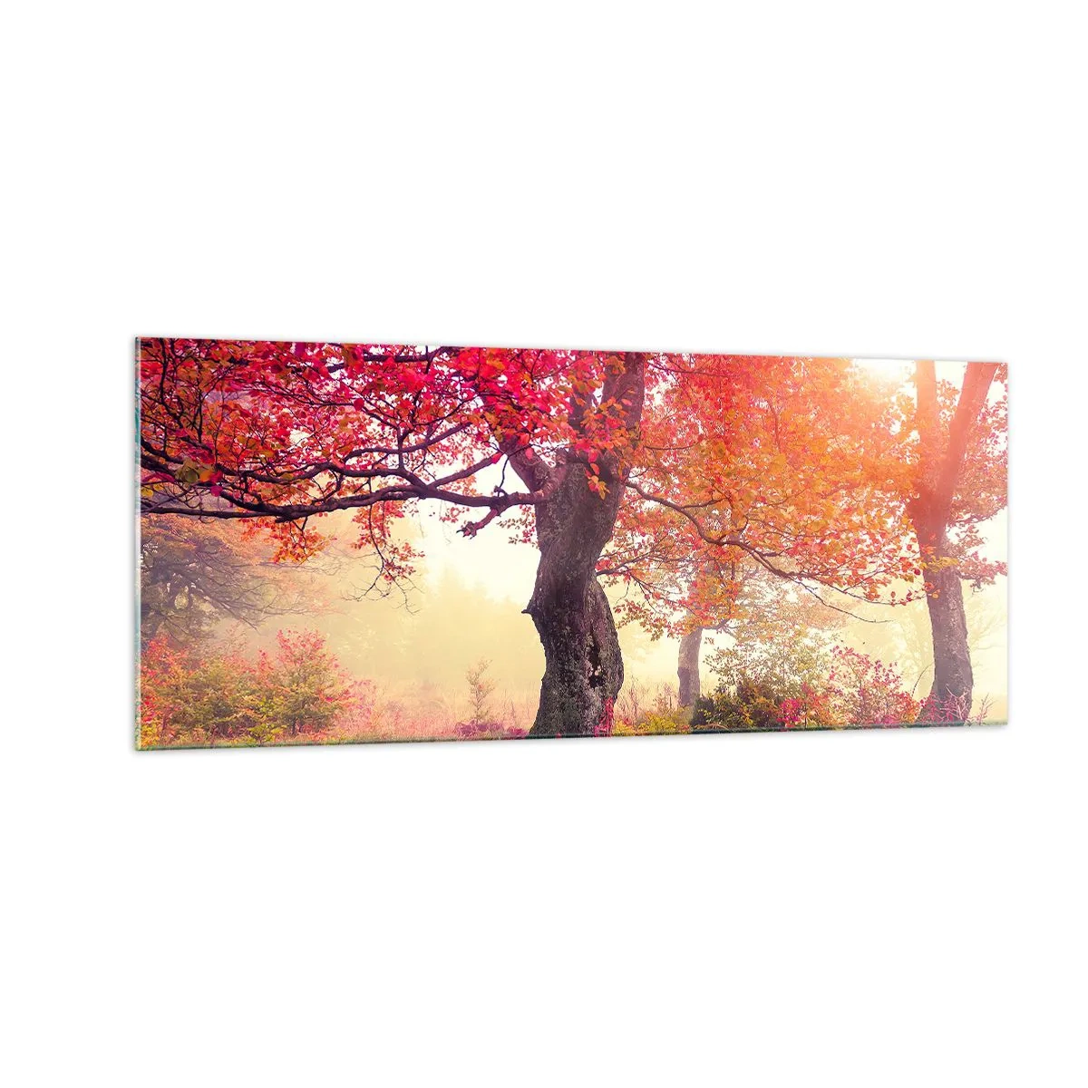 Glasbild - Bild auf glas - Blühende Raserei - 100x40 cm