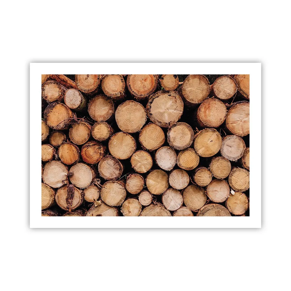 Poster - Ein neuer Anfang - 70x50 cm