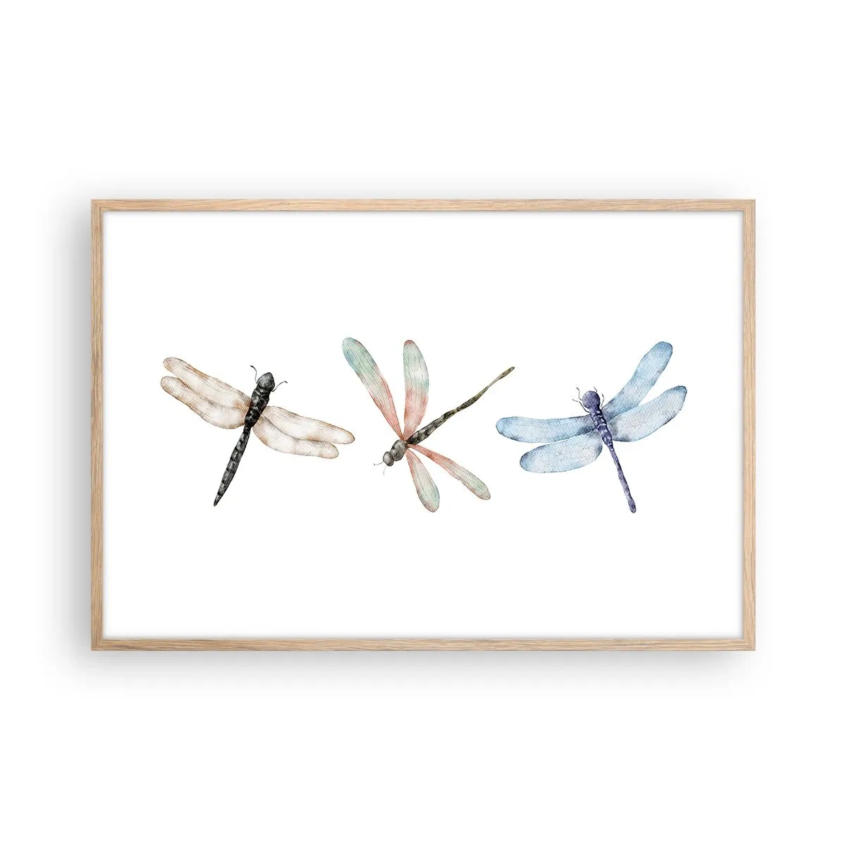 Poster in einem Rahmen aus heller Eiche - Schwerelose Libellen - 91x61 cm
