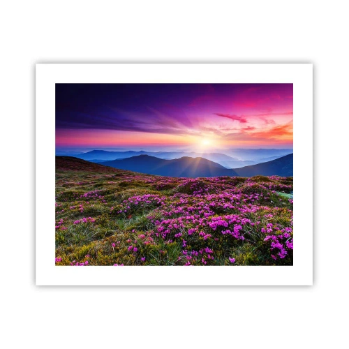 Poster - Kräuter dufteten nach frischen Trauben von den Feldern - 50x40 cm