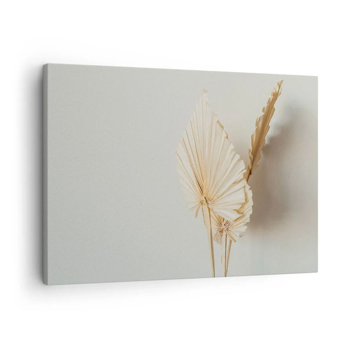Bild auf Leinwand - Leinwandbild - Getrocknete Palmblätter in minimalistischem Arrangement - 70x50cm - Wenn Sie Erleichterung brauchen - Moderne Wanddekoration für Wohnzimmer und Schlafzimmer ARTTOR