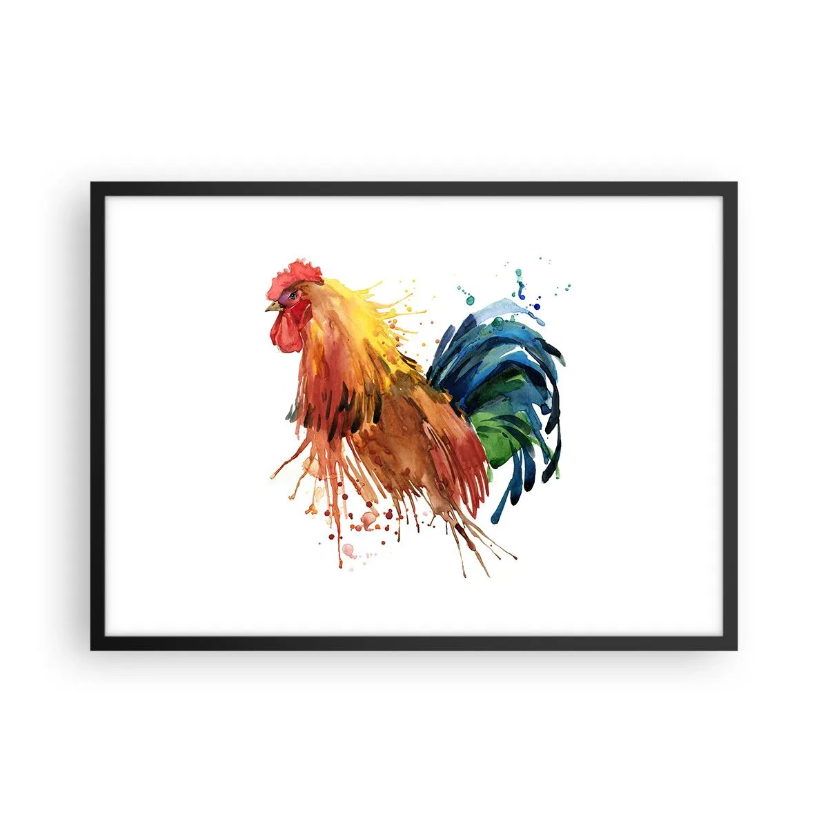 Poster in einem schwarzem Rahmen - Bunter Hahn im Aquarellstil - 70x50cm - Königliches Gewand, königlicher Stolz - Moderne Wanddekoration für Wohnzimmer und Schlafzimmer ARTTOR