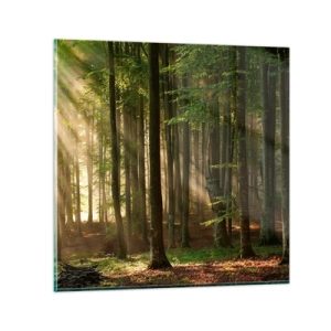 Glasbild - Bild auf glas - Strahlend an einem Frühlingsmorgen - 30x30 cm