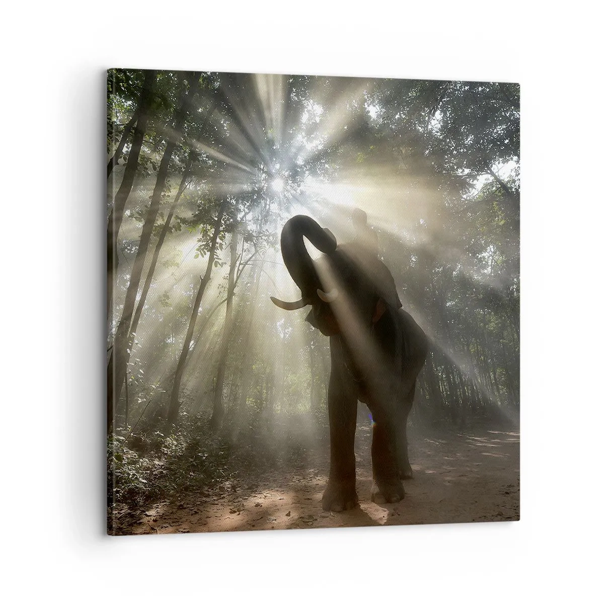 Bild auf Leinwand - Leinwandbild - Unter dem Glücksstern - 60x60 cm