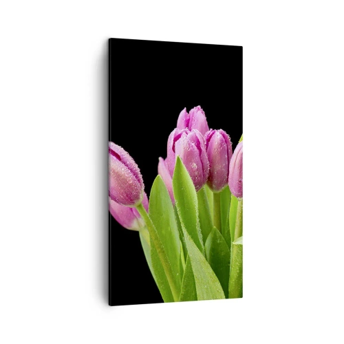 Bild auf Leinwand - Leinwandbild - Lila Frühlingsfreude - 45x80 cm