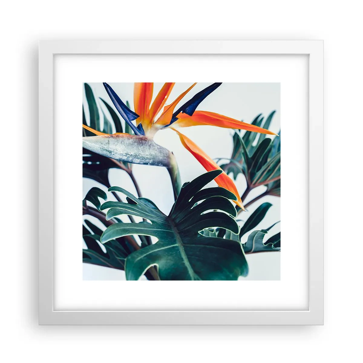 Poster in einem weißen Rahmen - Vogelbusch - 30x30 cm