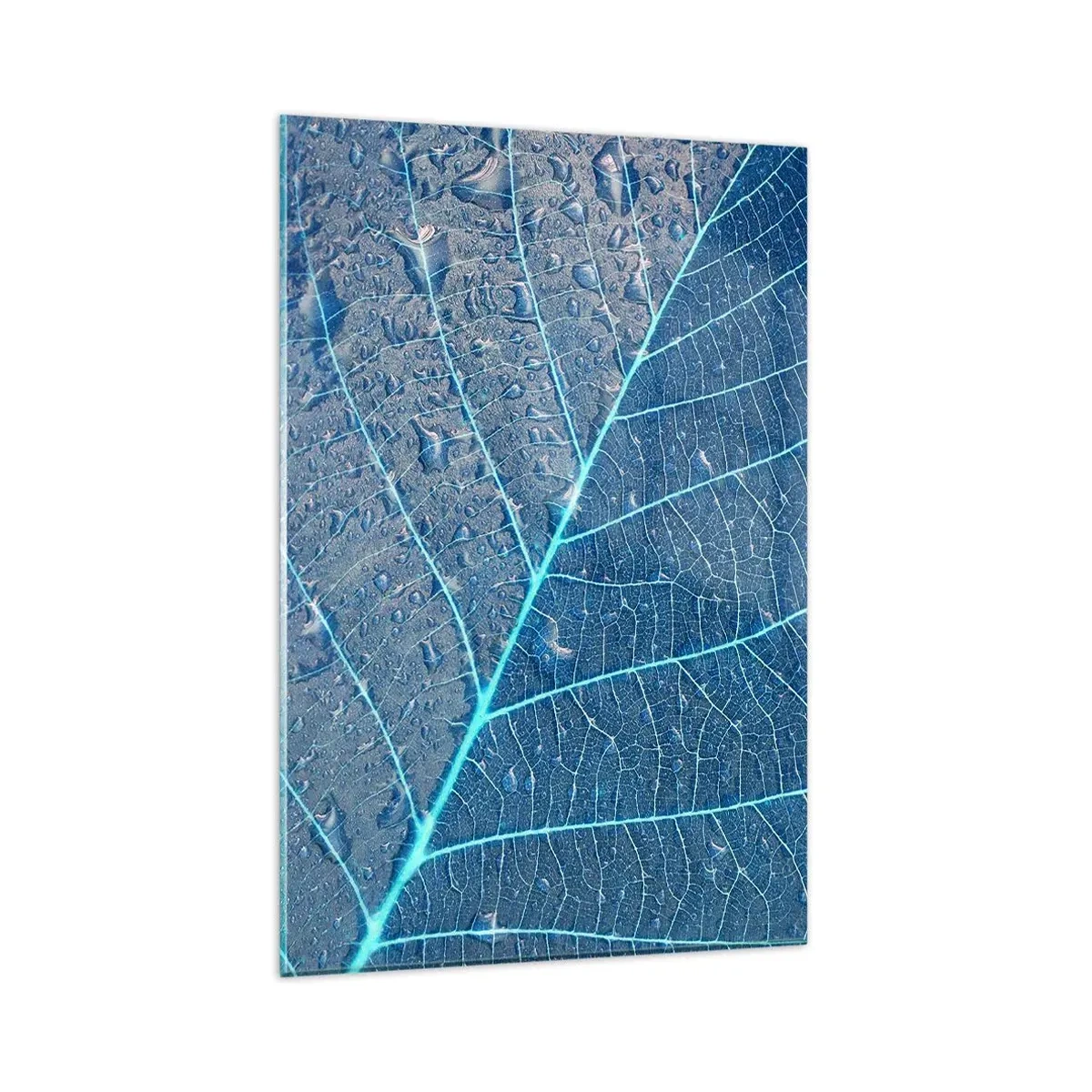 Glasbild - Bild auf glas - Ein Blatt in Blautönen mit Wassertropfen - 80x120cm - Leben in Blau - Moderne Wanddekoration für Wohnzimmer und Schlafzimmer ARTTOR