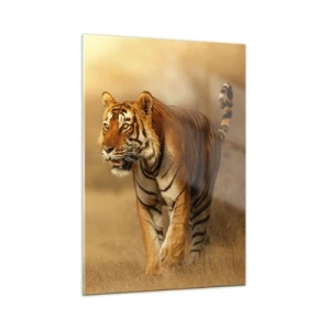Glasbild - Bild auf glas - Tiger im goldenen Licht vor dem Hintergrund einer trockenen Savanne - 50x70cm - Vor dem Angriff - Moderne Wanddekoration für Wohnzimmer und Schlafzimmer ARTTOR
