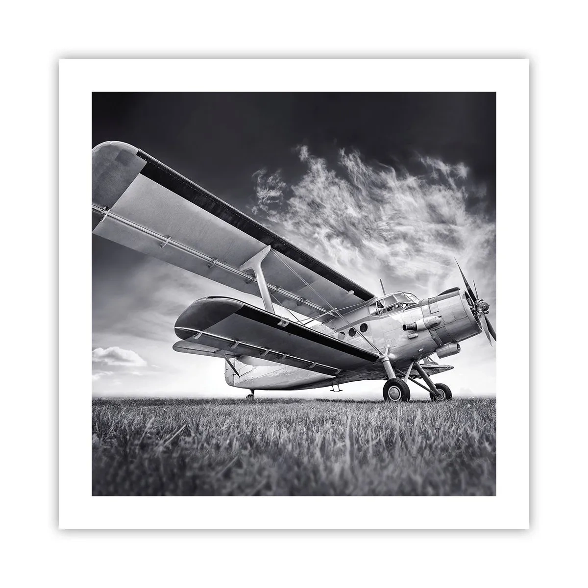 Poster - Der geflügelte Wanderer - 50x50 cm