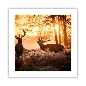 Poster - Der Traum eines Jägers - 40x40 cm