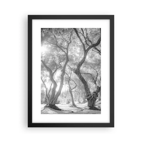 Poster in einem schwarzem Rahmen - Im Olivenhain - 30x40 cm