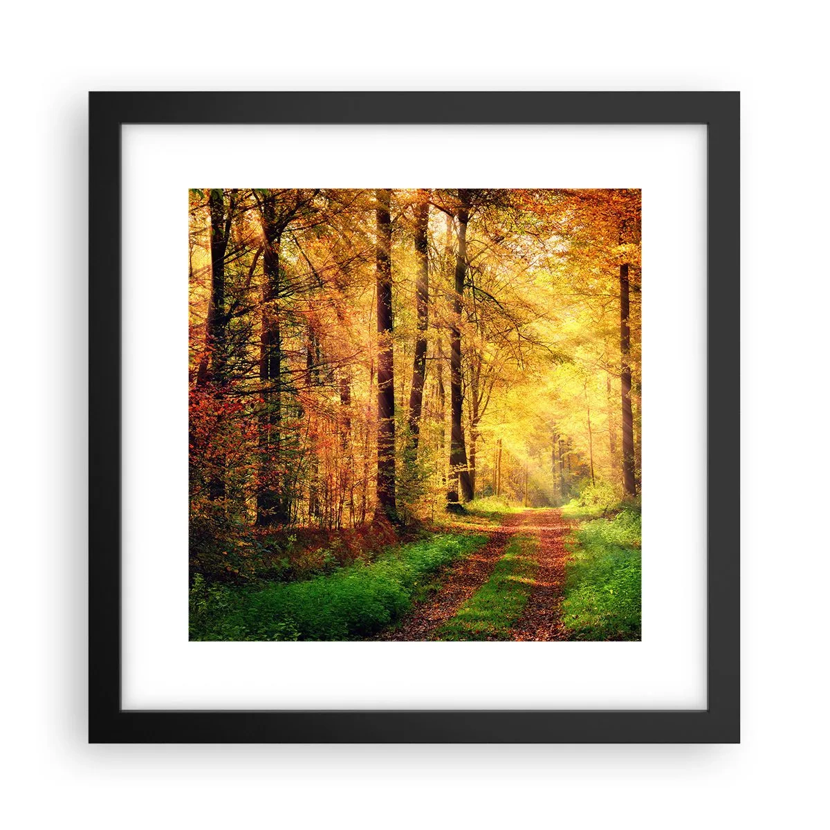 Poster in einem schwarzem Rahmen - Waldgoldene Stille - 30x30 cm