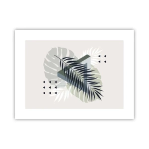 Poster - Natur und Geometrie – zwei Ordnungen? - 40x30 cm