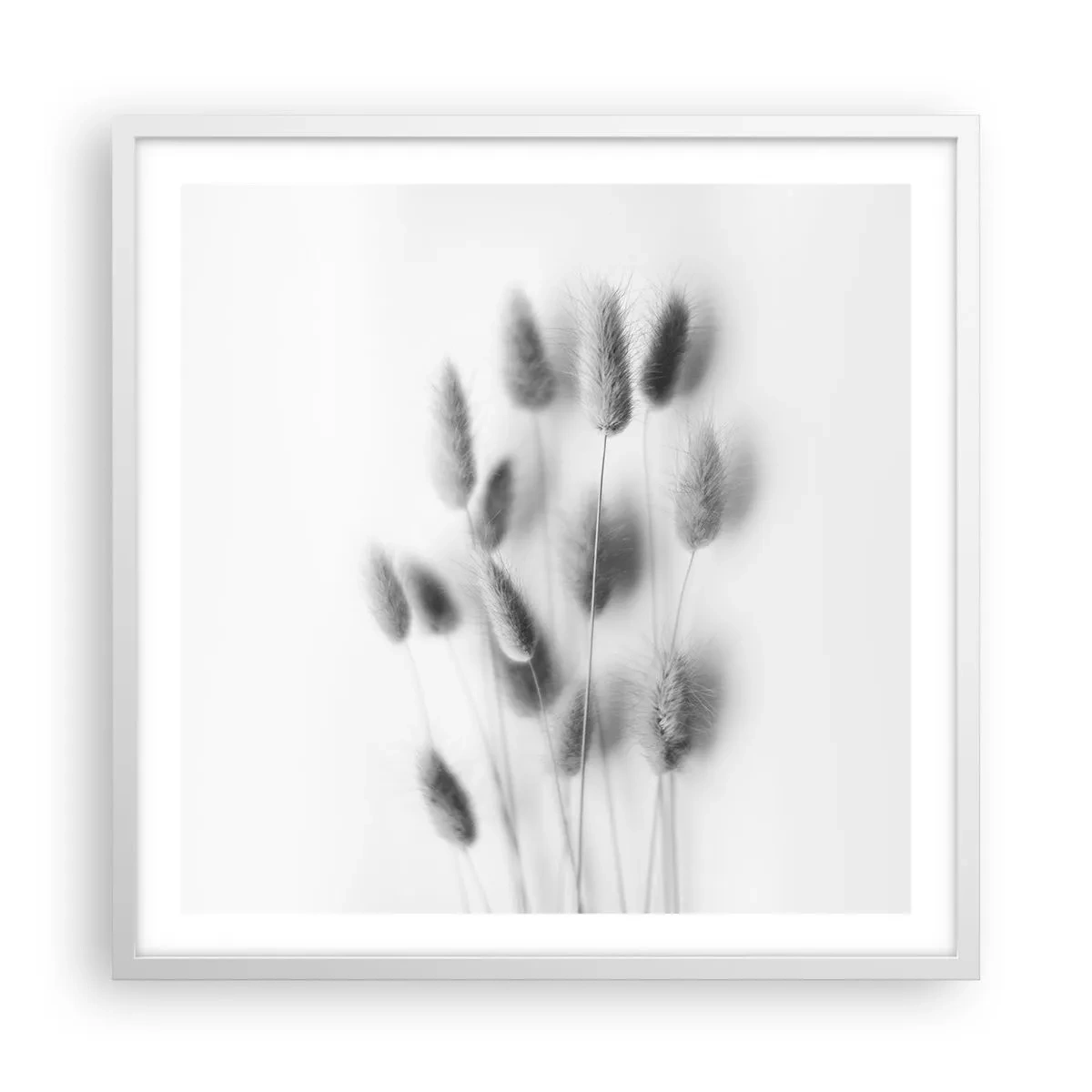 Poster in einem weißen Rahmen - Eure flauschige Grashoheit - 60x60 cm