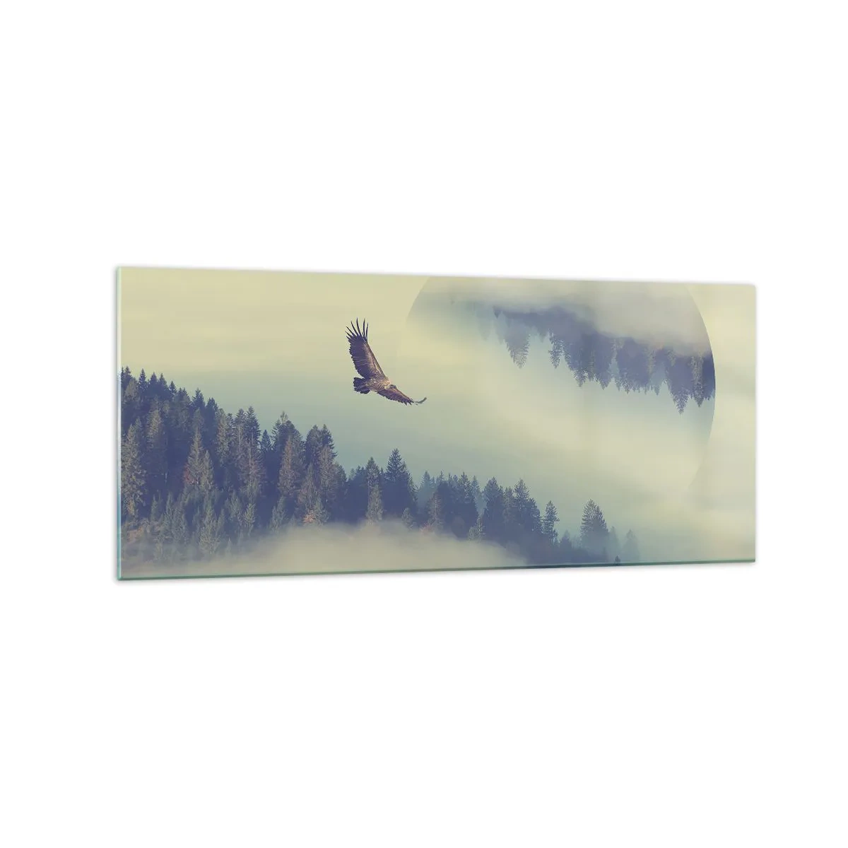 Glasbild - Bild auf glas - Ein Adler im Flug vor der Kulisse nebliger Berge mit einem künstlerischen Kreismotiv - 120x50cm - Ich habe den Schatten eines Adlers gesehen - Moderne Wanddekoration für Wohnzimmer und Schlafzimmer ARTTOR