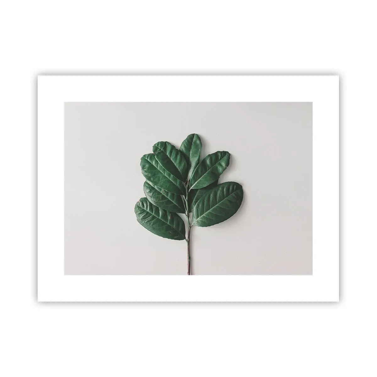 Poster - Eine Zeichnung purer Natur - 40x30 cm