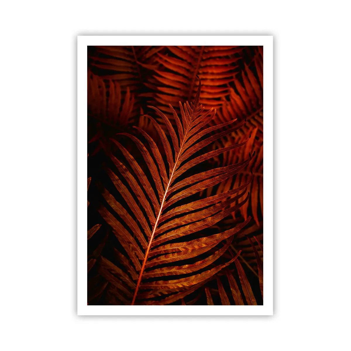 Poster - Die Hitze des Lebens - 70x100 cm