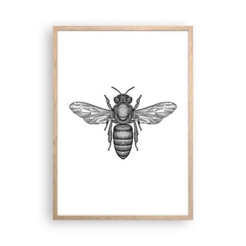 Poster in einem Rahmen aus heller Eiche - Insektenporträt - 50x70 cm