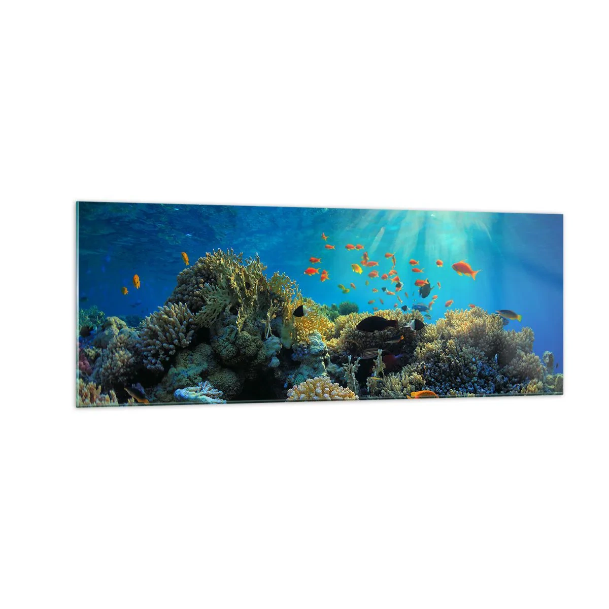 Glasbild - Bild auf glas - Korallenriff mit Fischen in den Sonnenstrahlen unter Wasser - 140x50cm - Unterwasserschätze - Moderne Wanddekoration für Wohnzimmer und Schlafzimmer ARTTOR