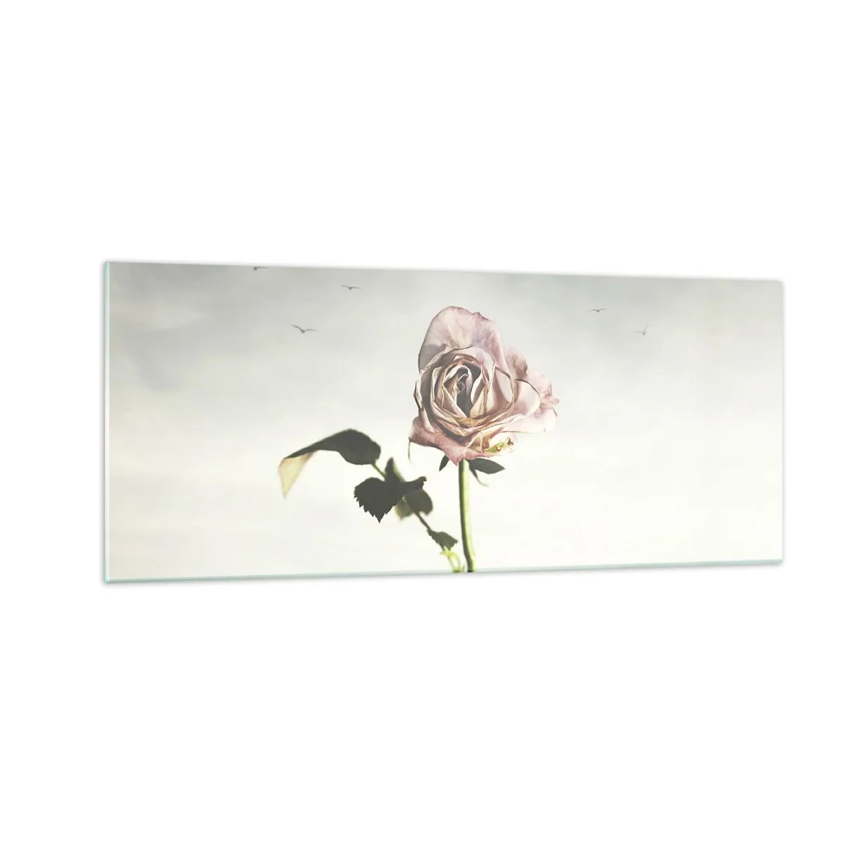 Glasbild - Bild auf glas - Begrüßung des Frühlings - 100x40 cm
