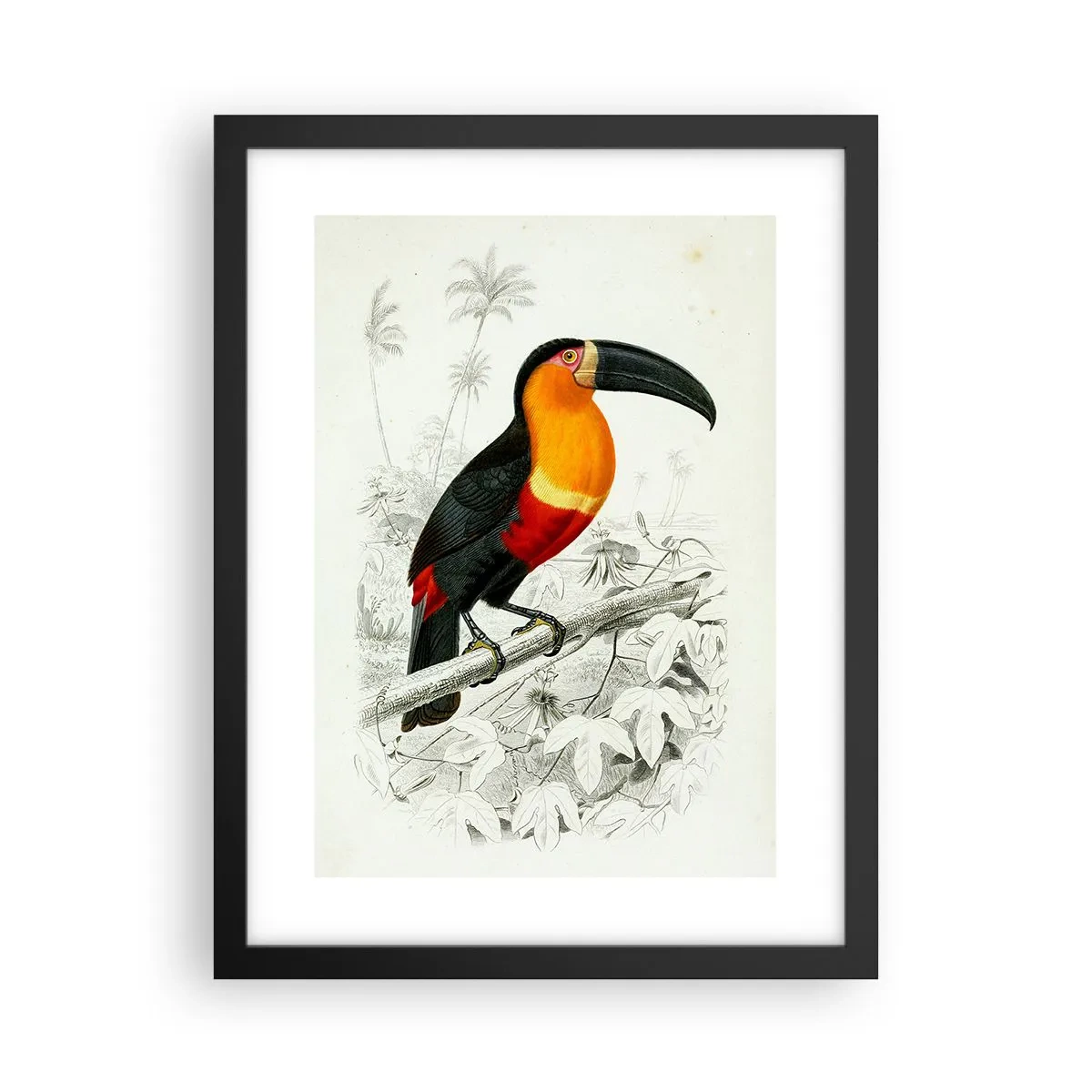 Poster in einem schwarzem Rahmen - Vogelfarben - 30x40 cm
