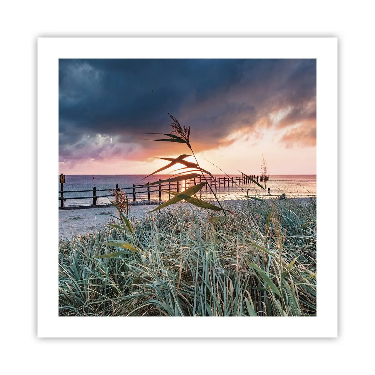 Poster - Es vergeht nicht mit dem Wind - 50x50 cm