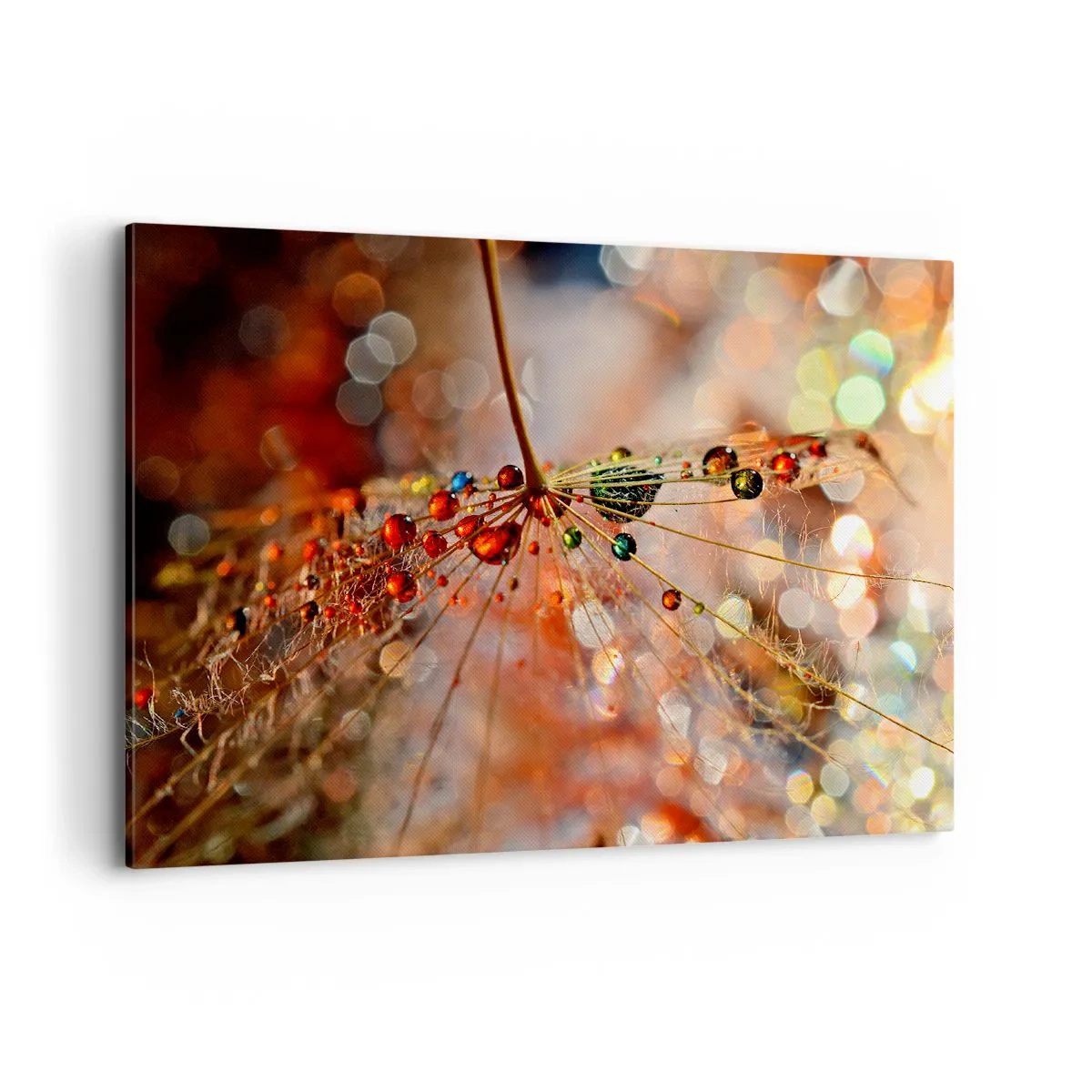 Bild auf Leinwand - Leinwandbild - Makrofotografie eines Wassertropfens auf einer zarten Pflanze - 100x70cm - Auf einem Spinnenfaden aufgefädelt - Moderne Wanddekoration für Wohnzimmer und Schlafzimmer ARTTOR