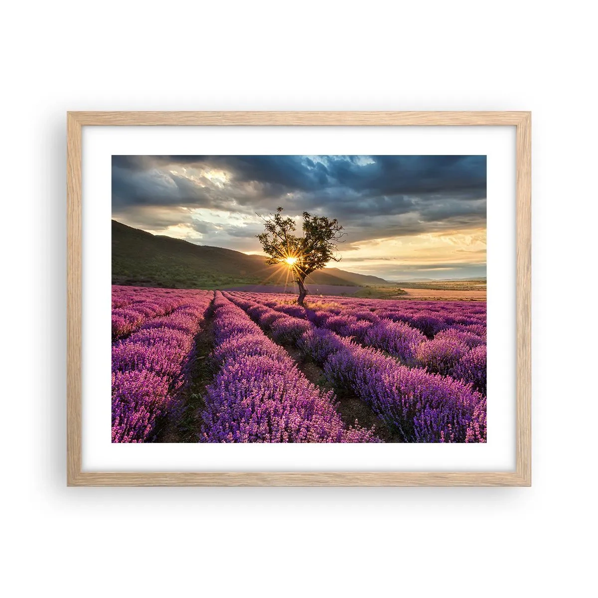 Poster in einem Rahmen aus heller Eiche - Fliederfarbenes Aroma - 50x40 cm