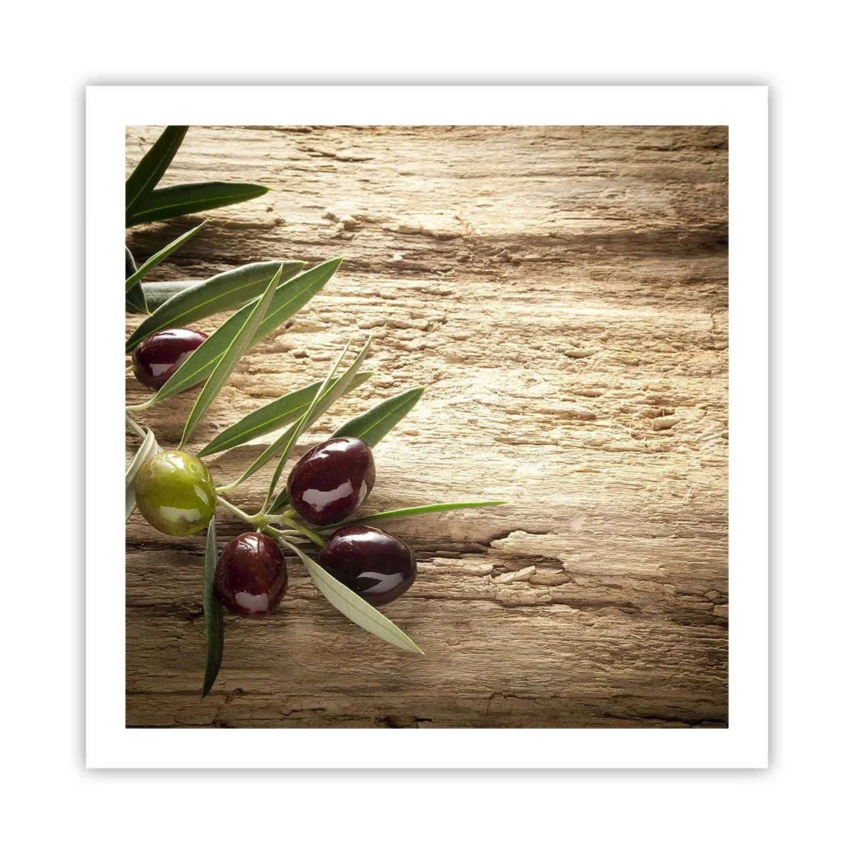 Poster - Direkt aus der Natur - 60x60 cm