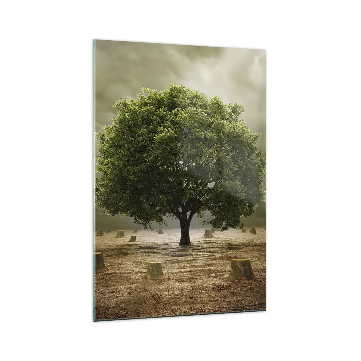 Glasbild - Bild auf glas - Ein grüner Baum, umgeben von gefällten Baumstämmen vor einem bewölkten Himmel - 70x100cm - Alle Hoffnung - Moderne Wanddekoration für Wohnzimmer und Schlafzimmer ARTTOR