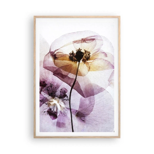 Poster in einem Rahmen aus heller Eiche - Transparente Körperblumen - 70x100 cm